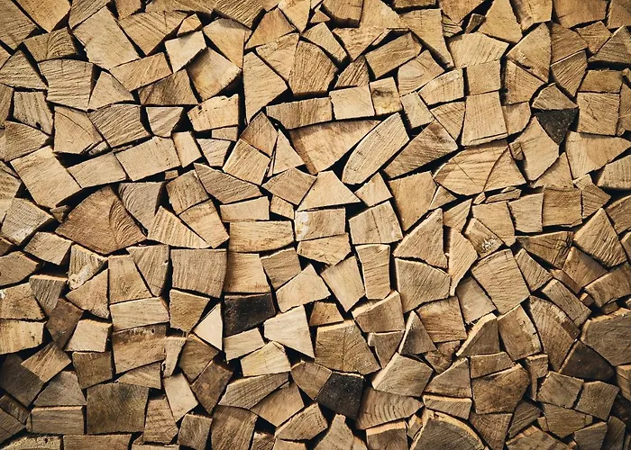 샬레 Amadeus 피센도르프